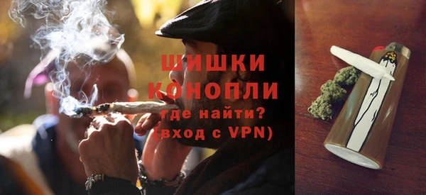 молекула духа Бородино