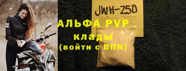 молекула духа Бородино