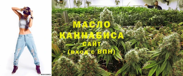 молекула духа Бородино