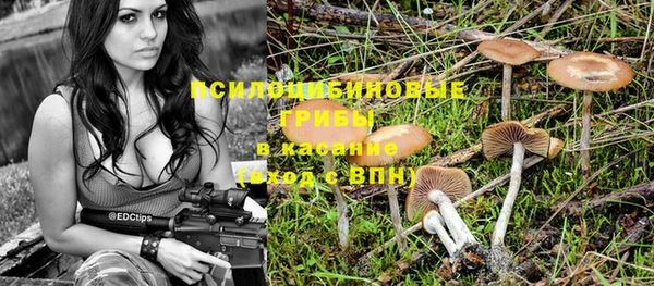 прущая мука Бронницы