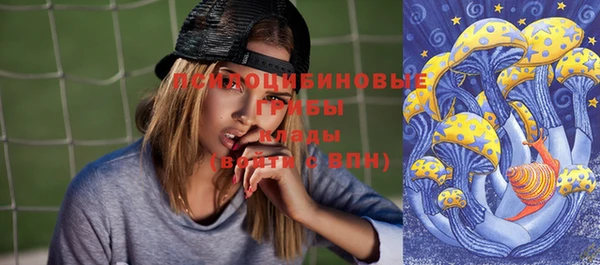 молекула духа Бородино