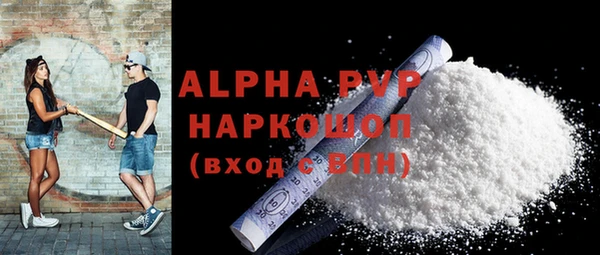молекула духа Бородино