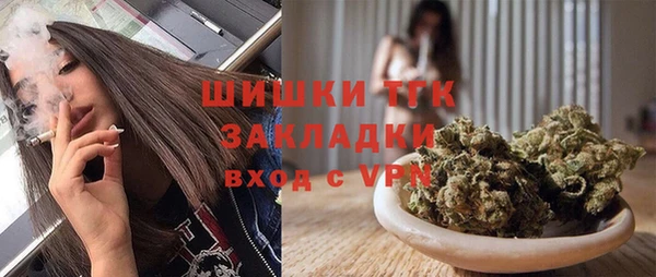 молекула духа Бородино